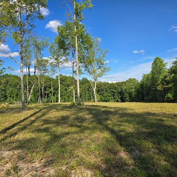 LAND - Sunbright, TN