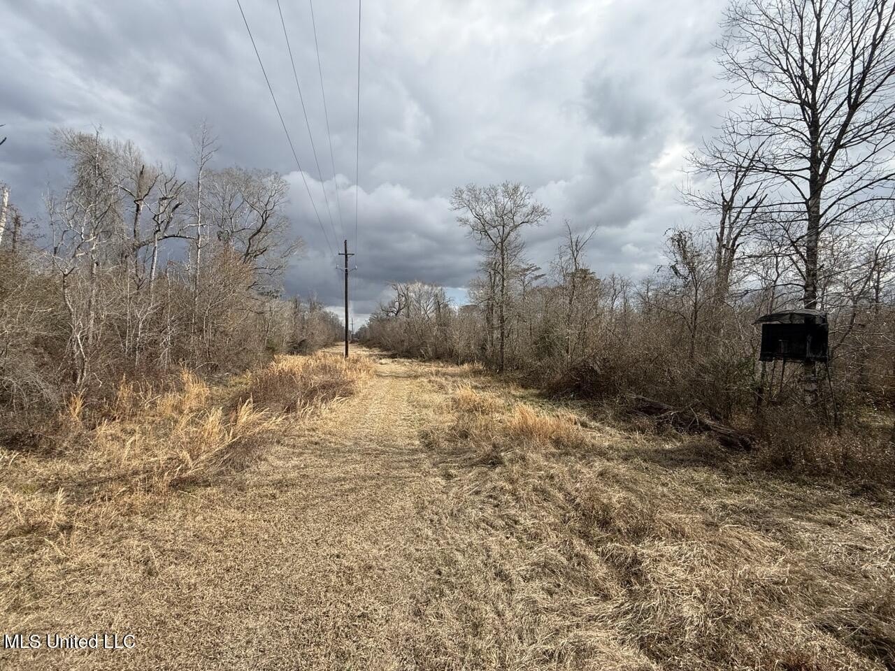 Land with Calcasieu River Frontage
