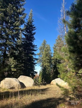 LAND - McCall, ID