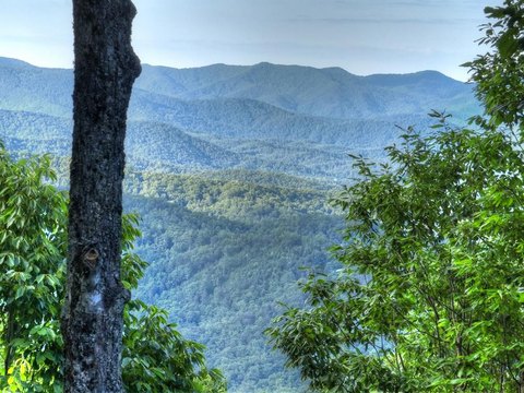 Vacant Lot - Ellijay, GA
