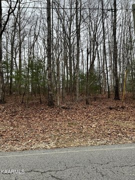 Crossville, TN Wooded Lot