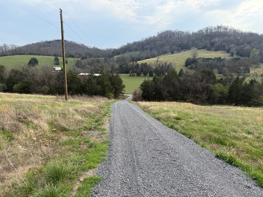 Picture 6