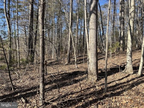 Madison County Buildable Lot