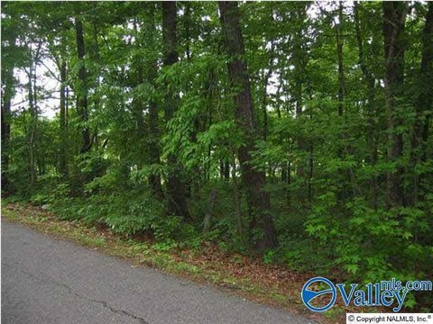 LAND - Arab, AL