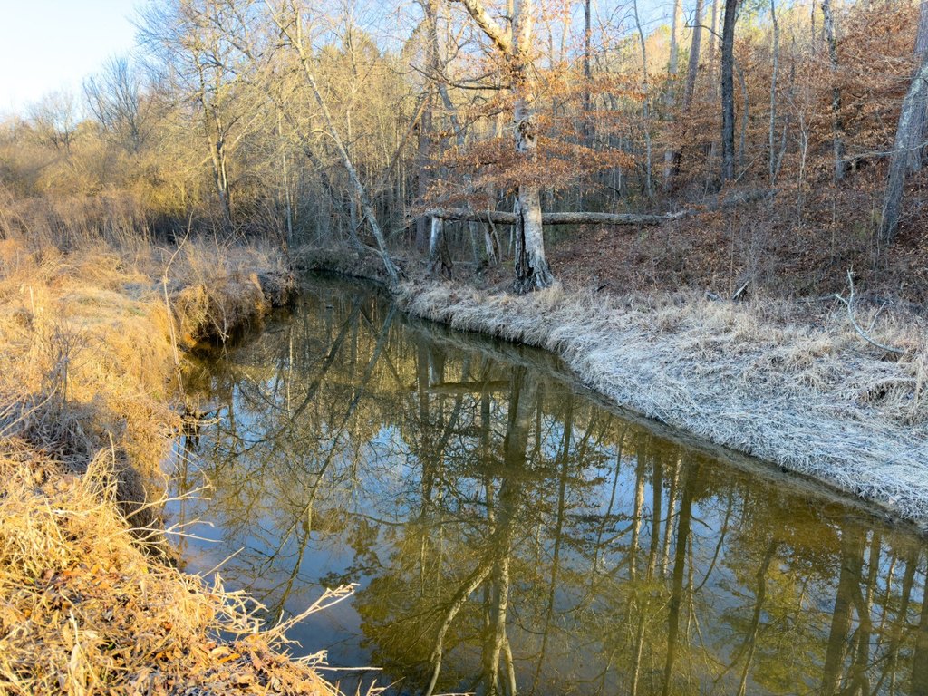Picture 45