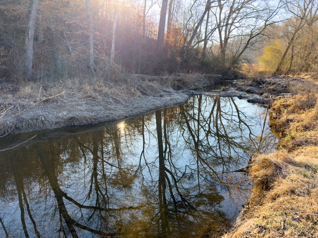 Picture 46
