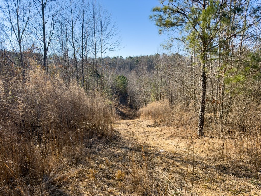 Picture 62
