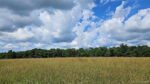 Land, Callicoon Center, NY