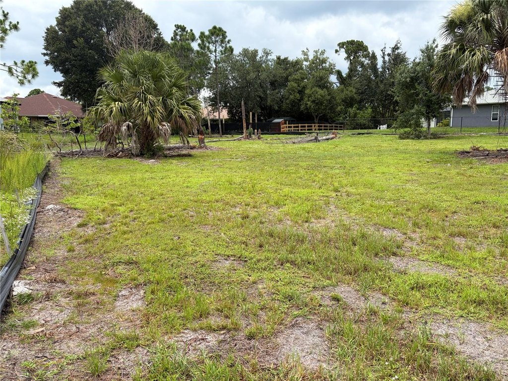 Picture 6