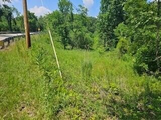 Land Near Daniel Boone Forest