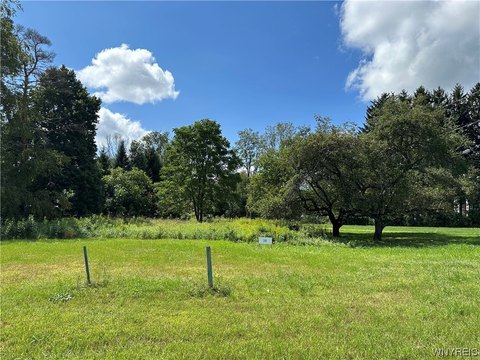 Residential Land in Allegany, NY