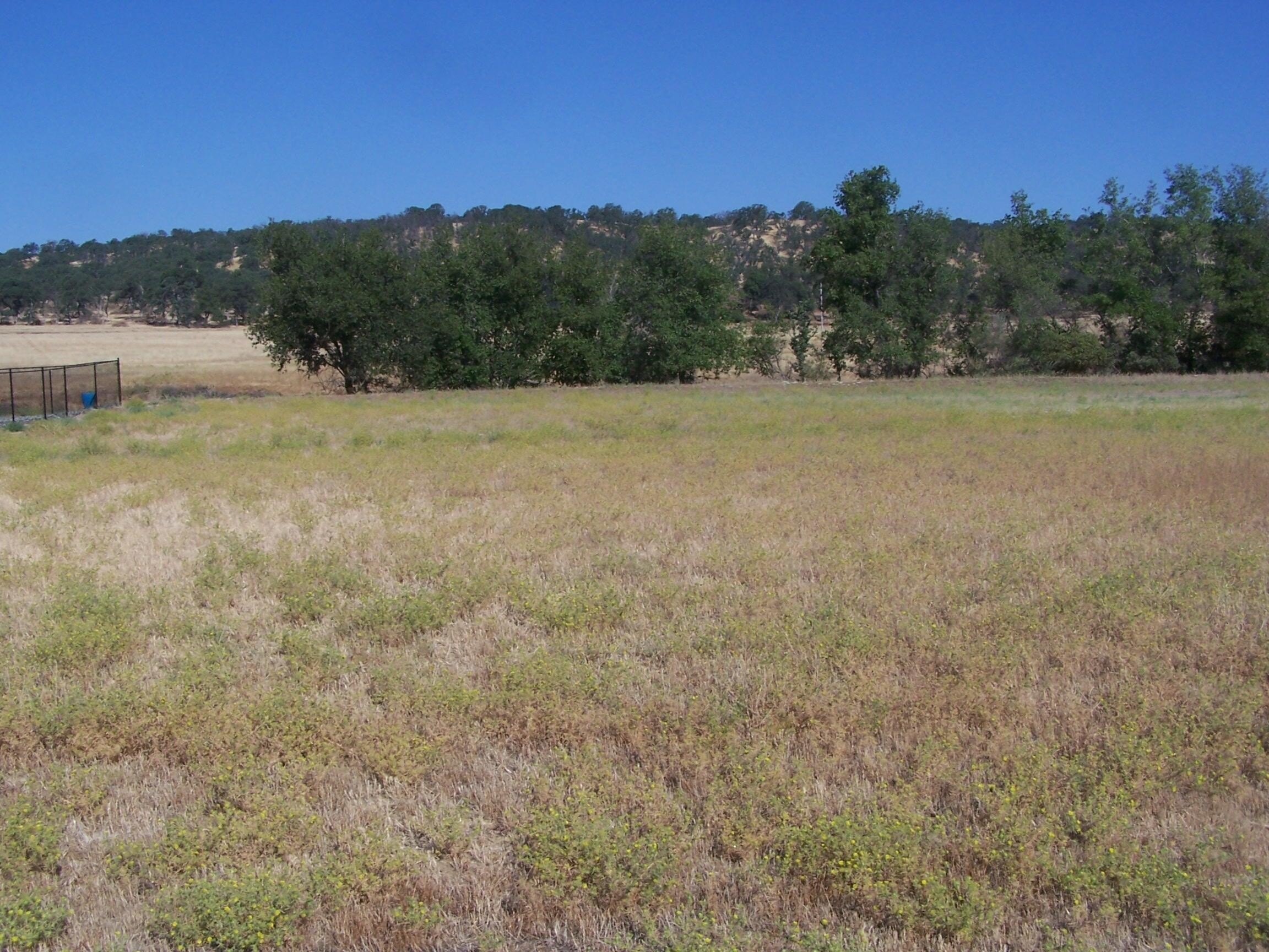Residential Lot with Lake View