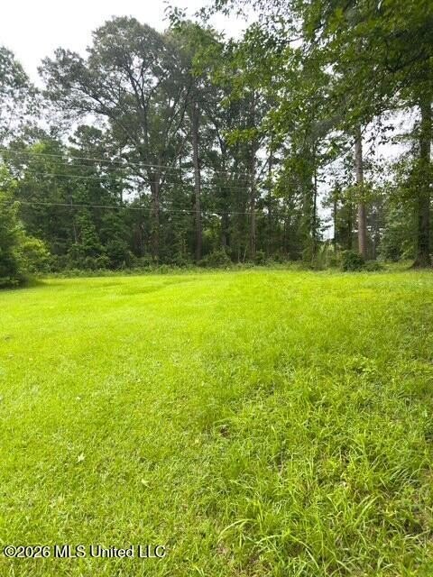 Picture 4