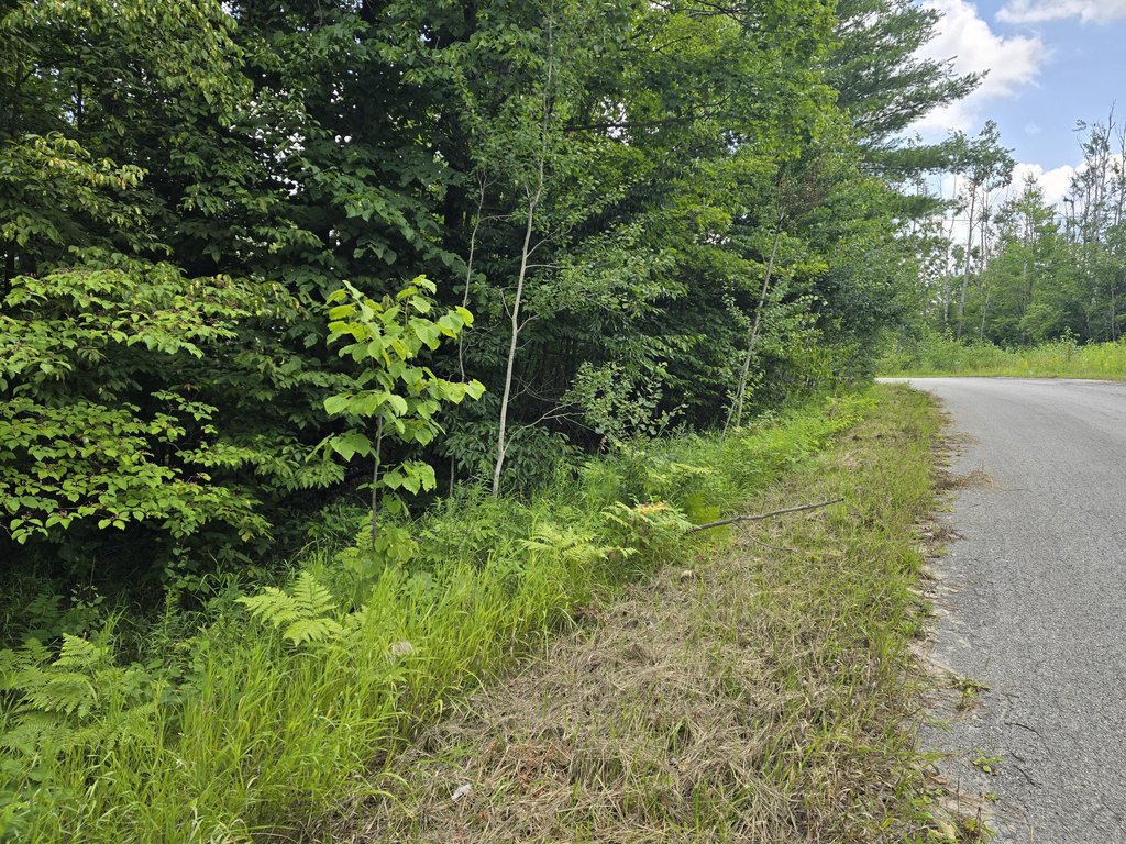 Picture 6
