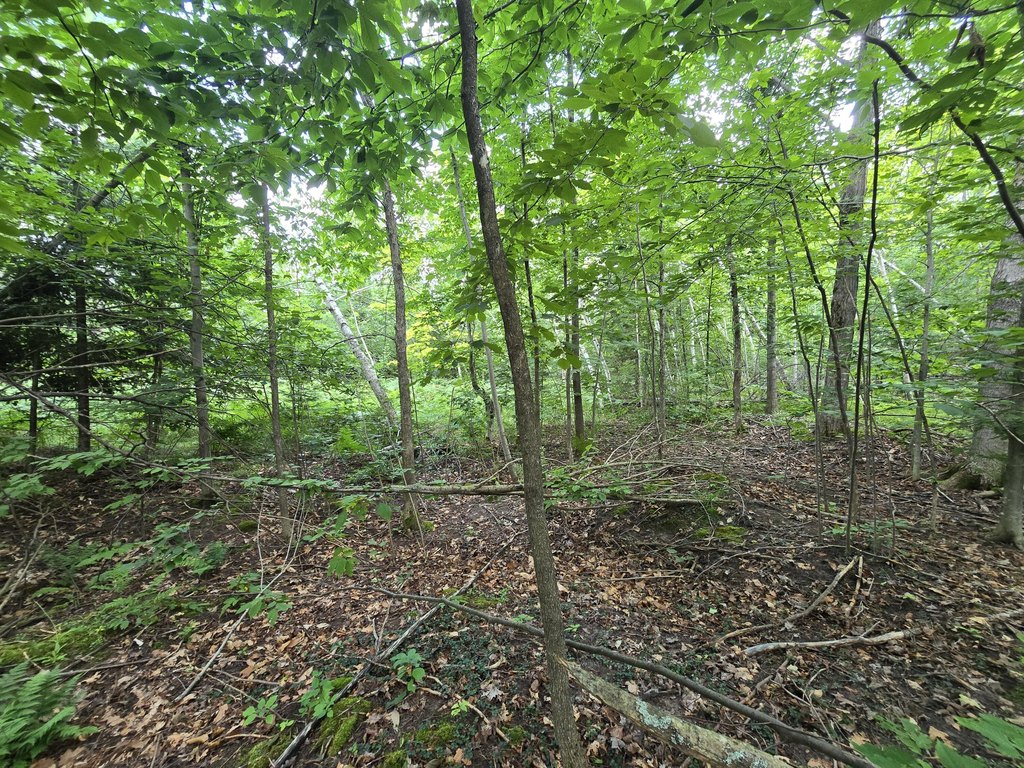 Picture 11