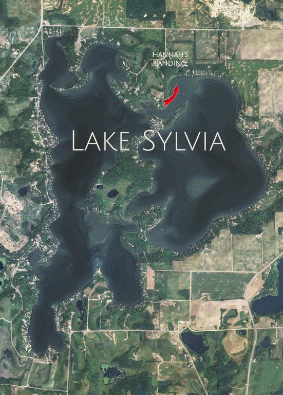 Picture 5