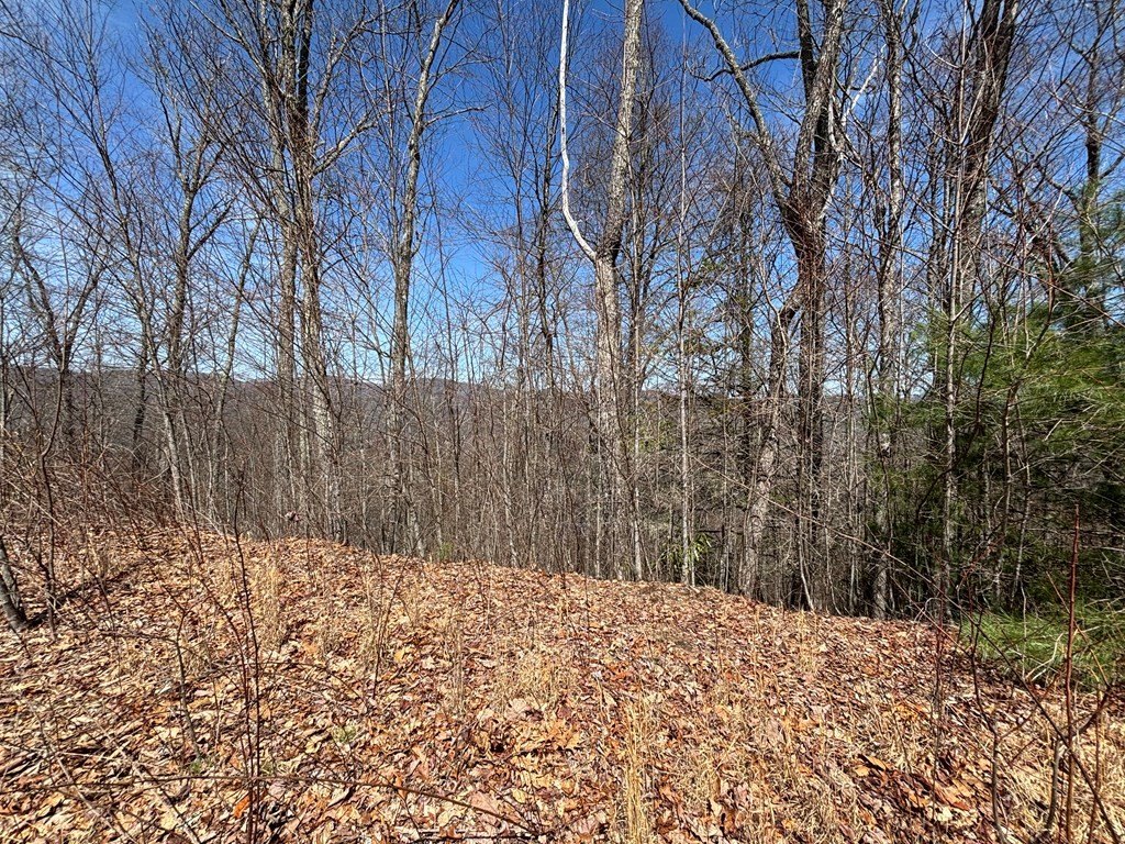 Picture 25