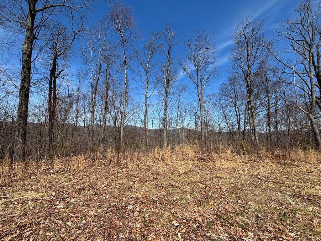 Picture 27