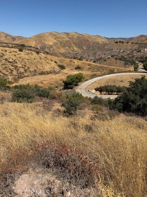 Picture 13