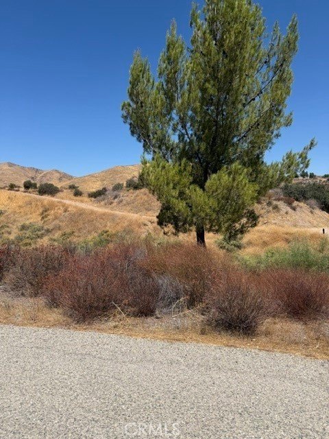 Picture 23