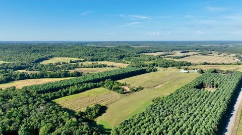 Land, Fairchild, WI