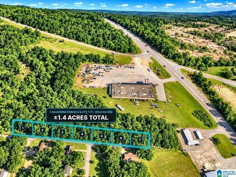 LAND/LOTS, ROANOKE, AL
