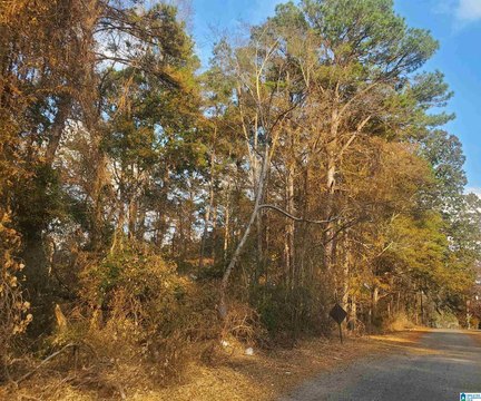 LAND - ROANOKE, AL