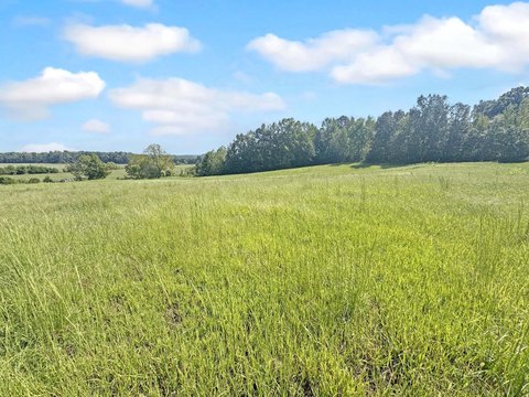 Land, Princeton, KY