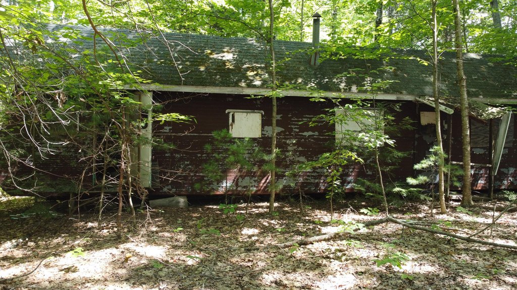 Picture 6