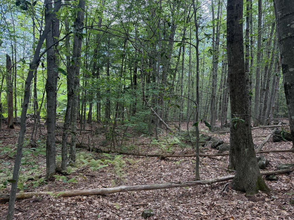 Picture 19