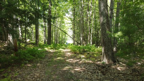 Land, Limington, ME