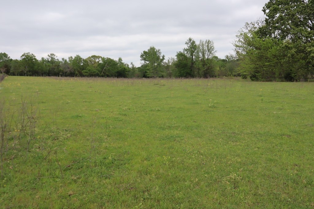 Picture 21