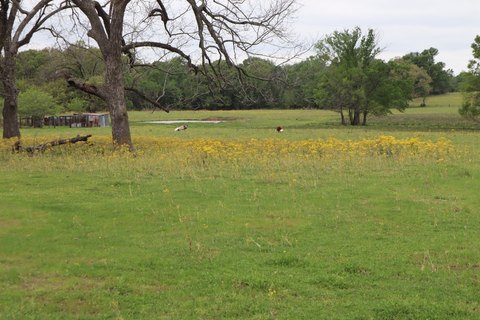 30-Acre Rural Retreat Opportunity