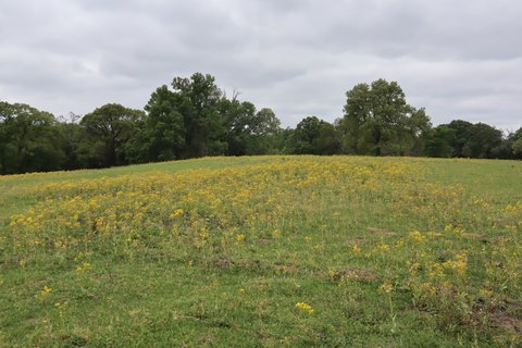 30-Acre Rural Retreat Opportunity