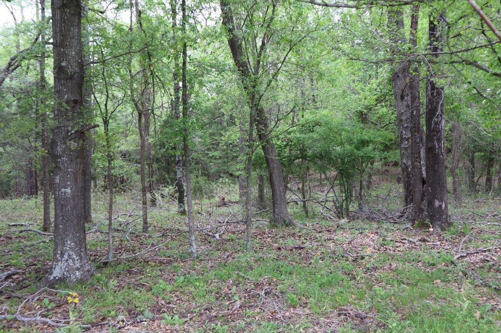 Picture 19