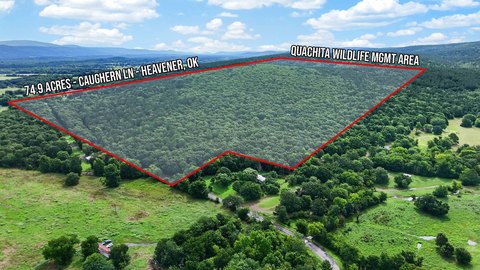 Hunting and Recreational Land Tract