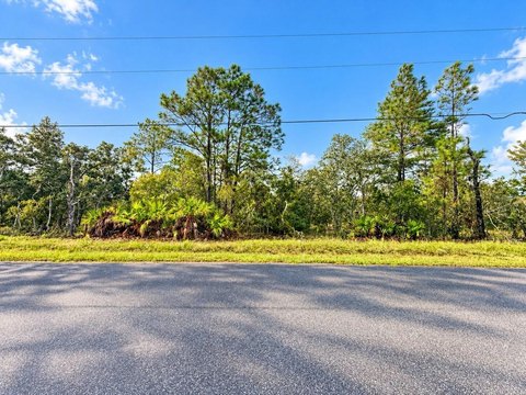 Land, WEEKI WACHEE, FL