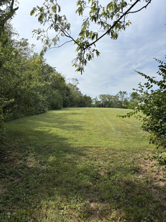 Picture 3