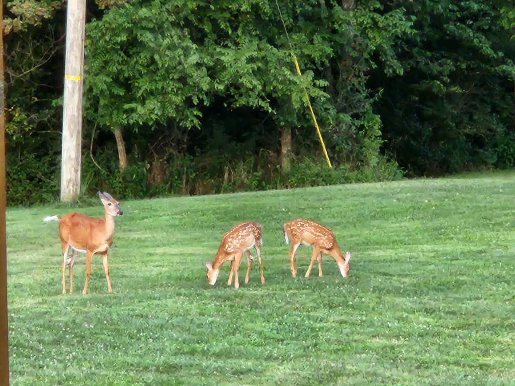 Picture 33