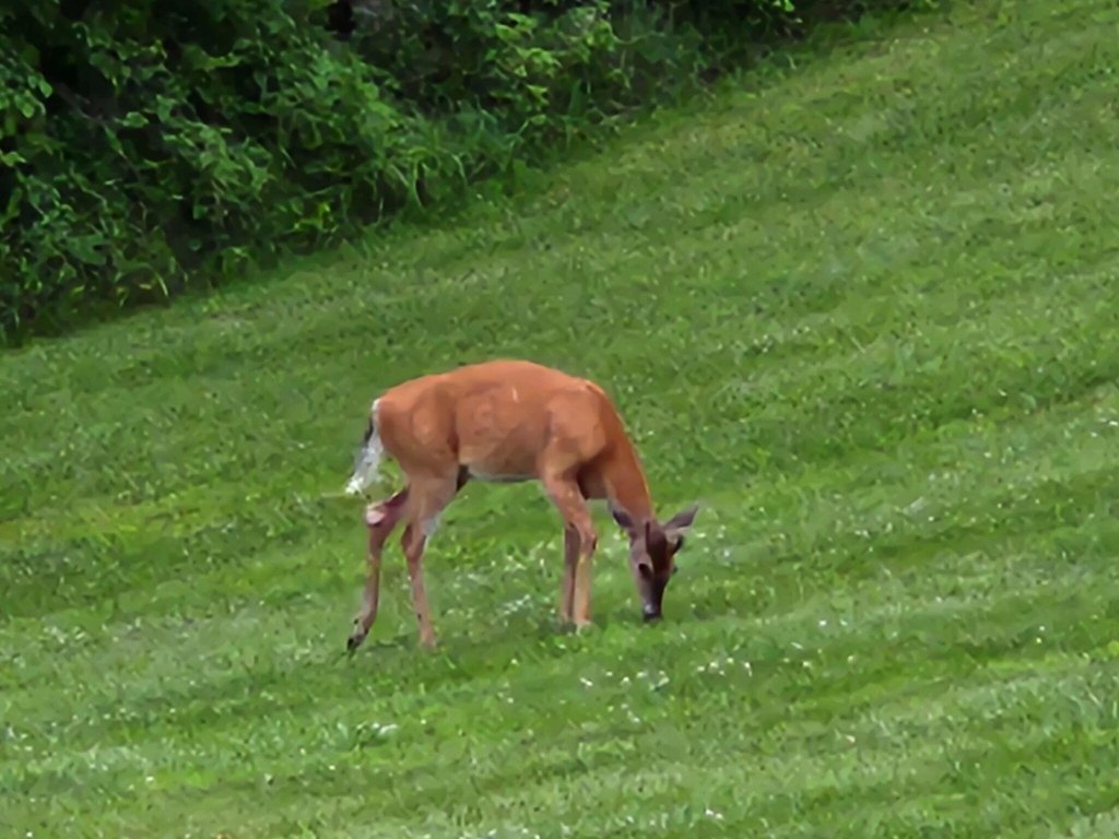 Picture 38