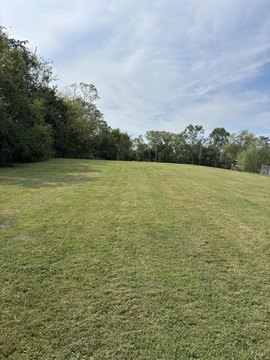 Land, Williamstown, KY
