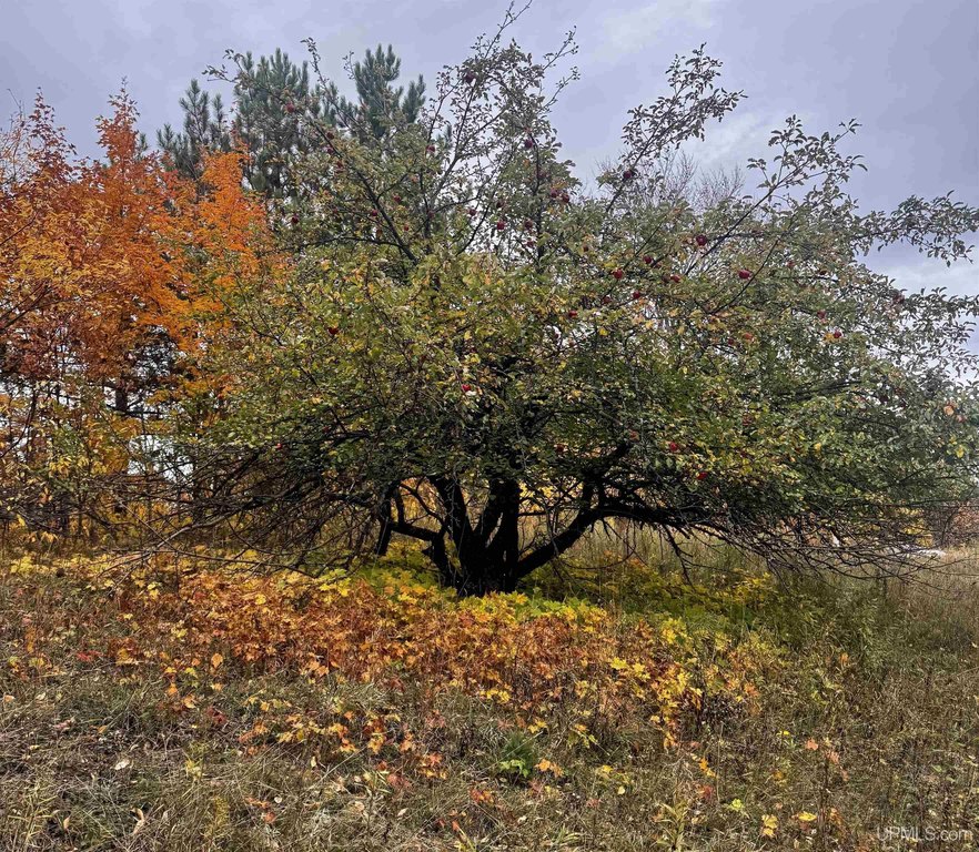 Picture 25