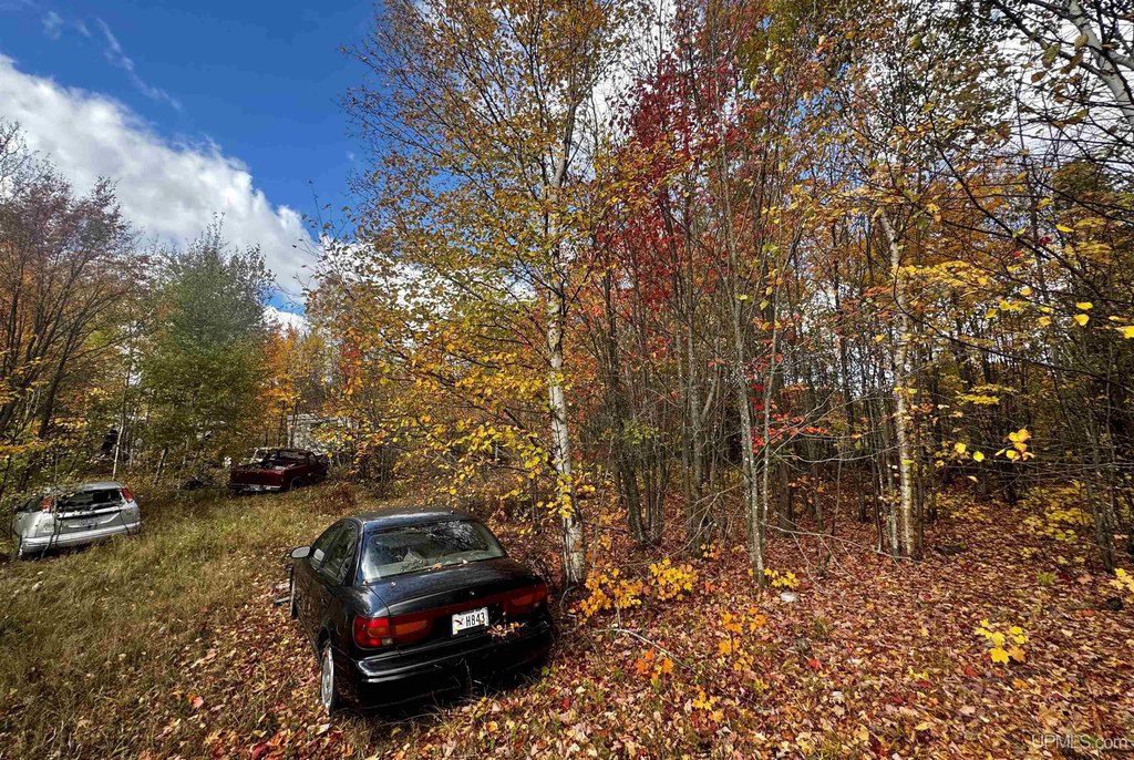 Picture 20