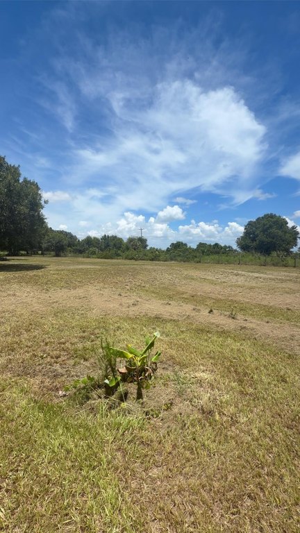 Picture 11