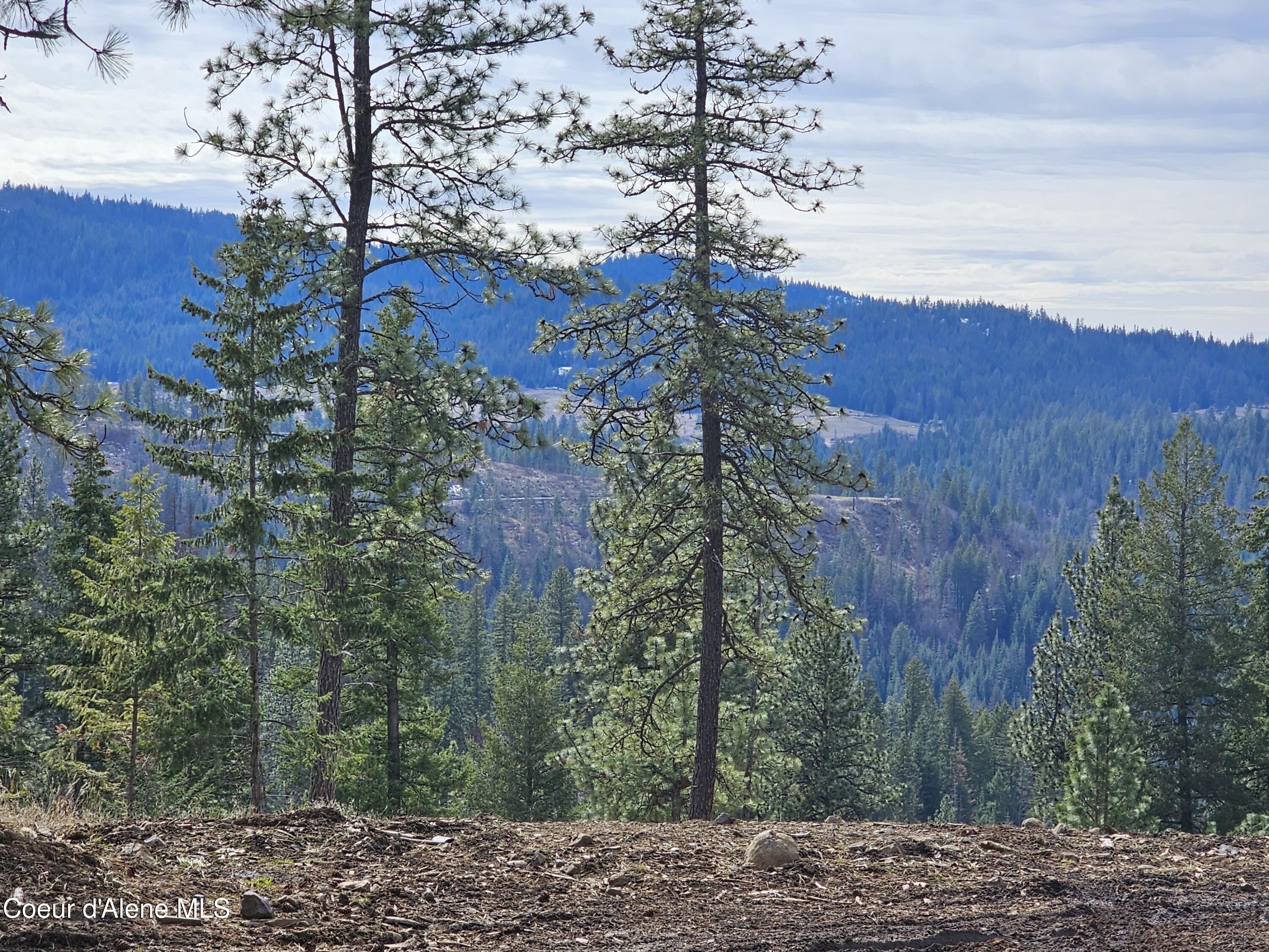 North Idaho Land with Creek