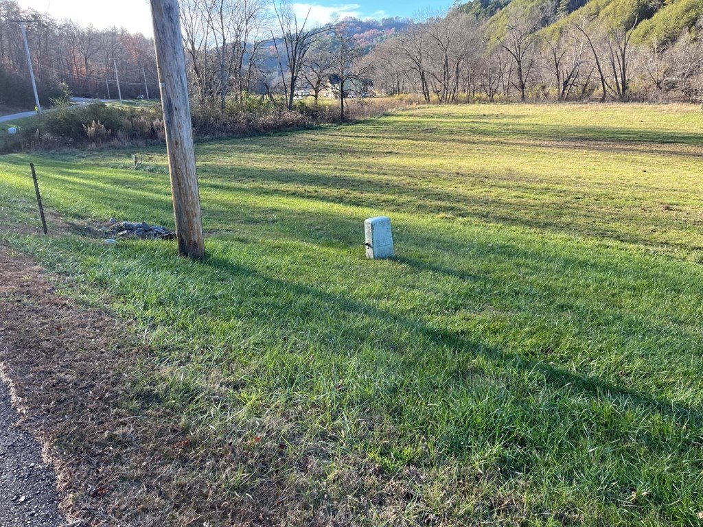 Picture 10