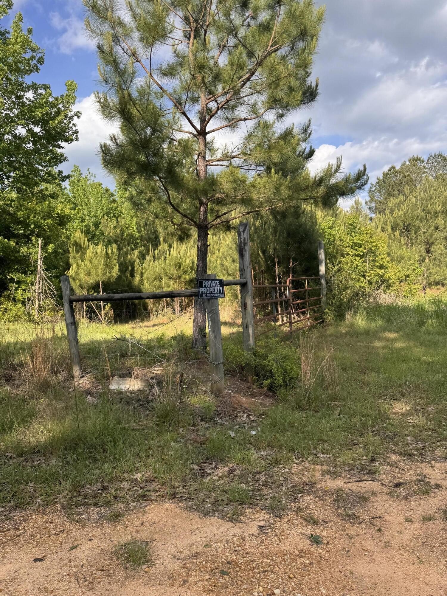 Heavily Wooded 23-Acre Land