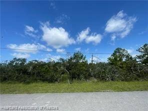 Residential Lot Near Lake Clay