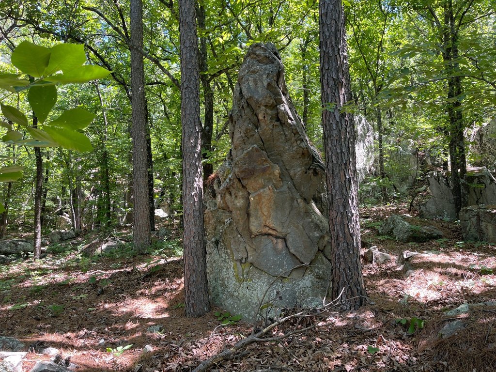 Picture 5