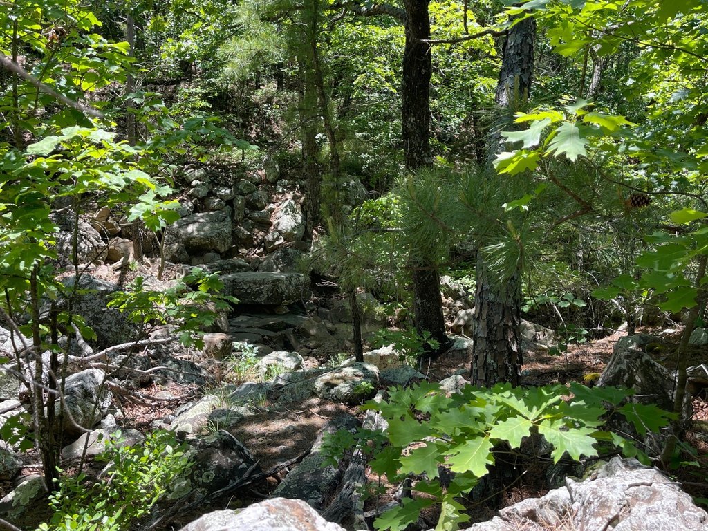 Picture 21